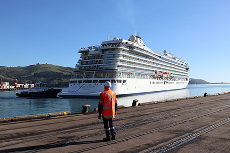 port otago cruise schedule